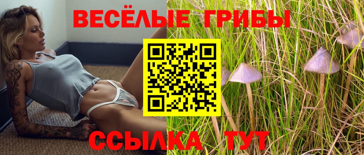 Псилоцибиновые грибы Psilocybine cubensis Борзя