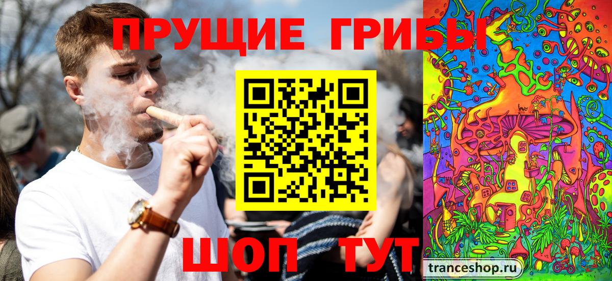 Псилоцибиновые грибы прущие грибы  Вход с VPN  Борзя 