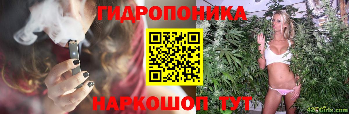 Борзя  Бошки Шишки Bruce Banner  Вход с VPN  Шишки марихуана SATIVA & INDICA  Бошки марихуана THC 21% 